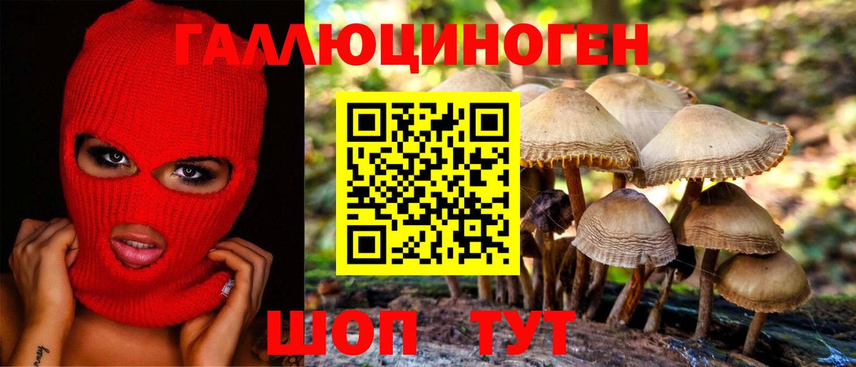 Псилоцибиновые грибы Psilocybine cubensis  Псилоцибиновые грибы ЛСД  Павловский Посад  Вход с VPN 